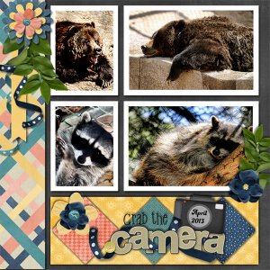 Zoo-Photo-Op
