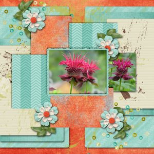 June Color Challenge