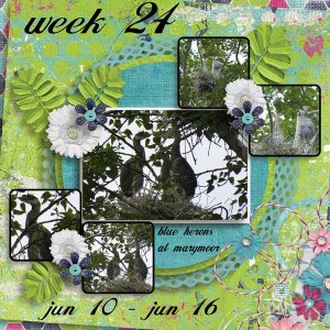 week-24-2013
