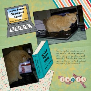 Acme Feline Obedience School