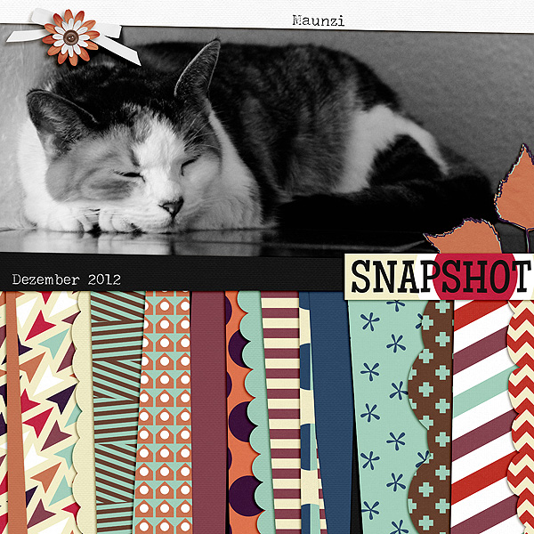 001-Snapshot-s