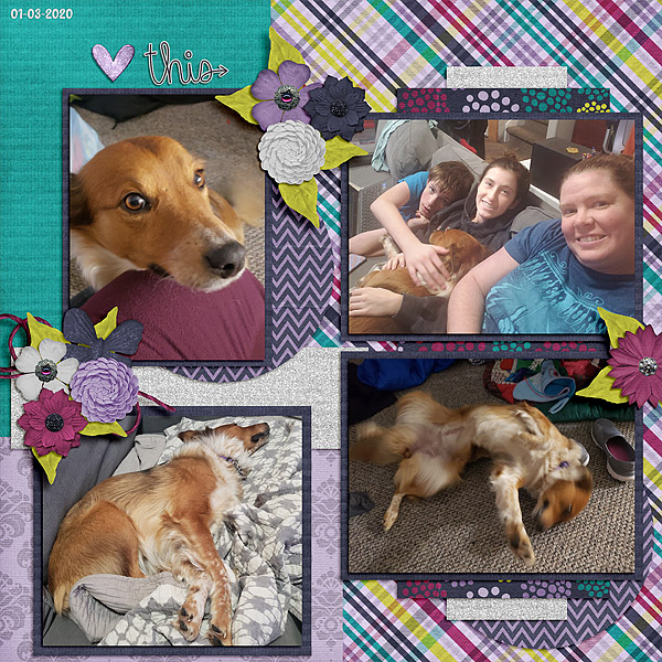 01-03-2020 Claire Snuggles