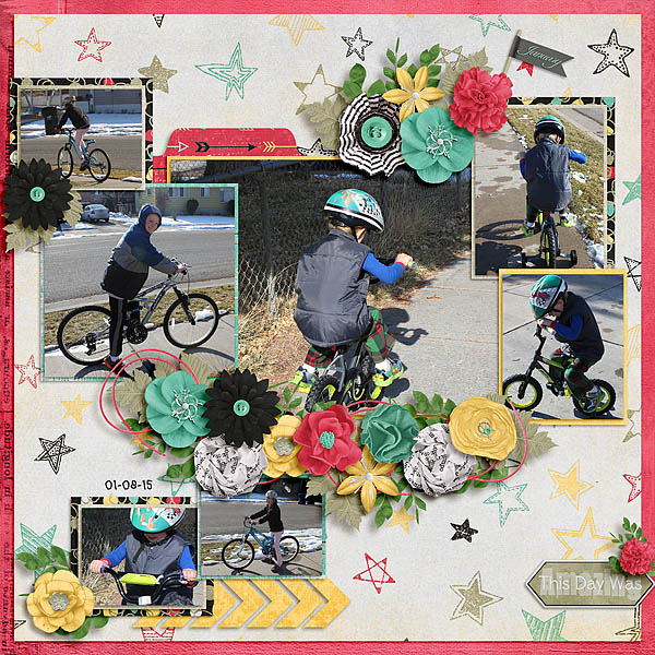 01-08-15 New Bikes