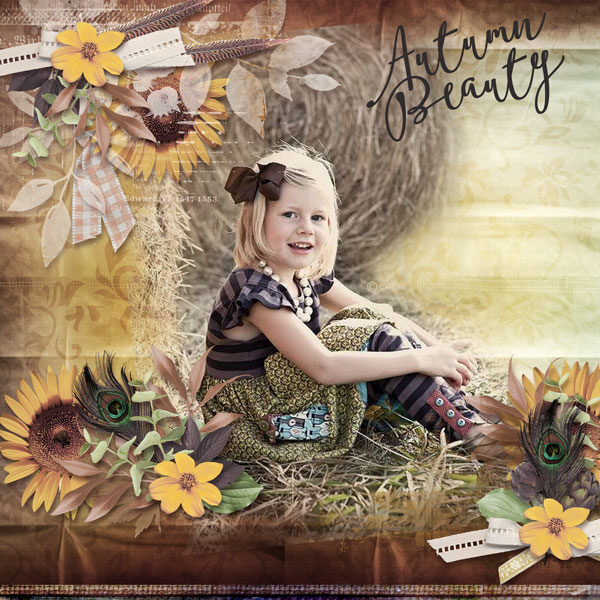 01-Autumn-Beauty2