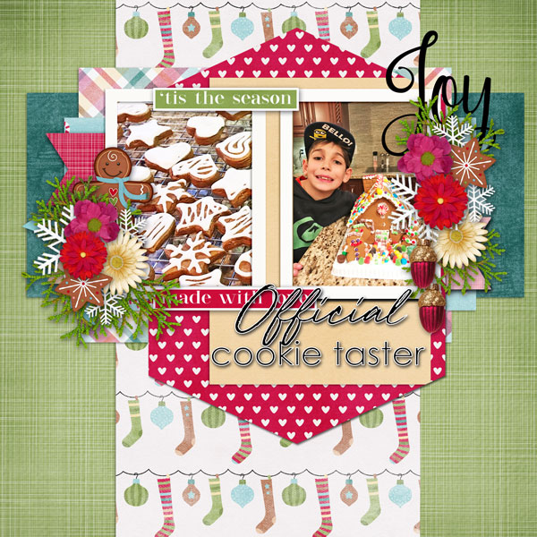 01-cookie-taster