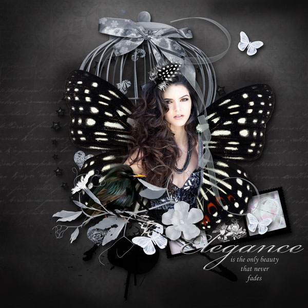 01-Dark-elegance