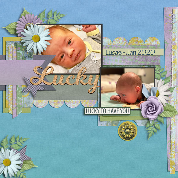 01-Lucas-2020