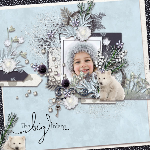 01-Polar-Bear