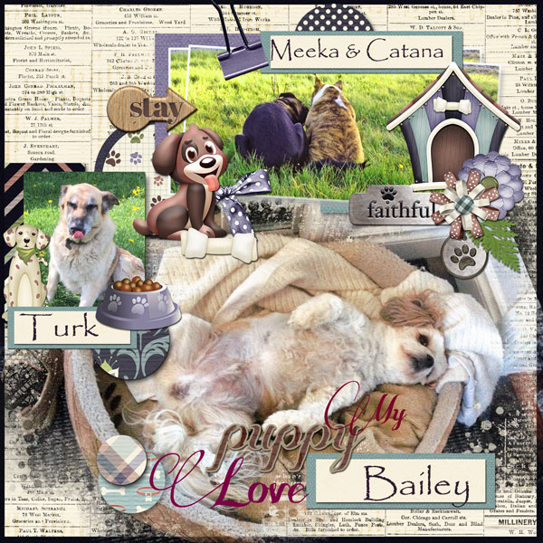 01-Puppy-love