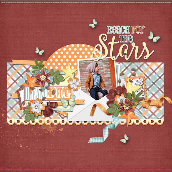 01-Reach-for-the-stars