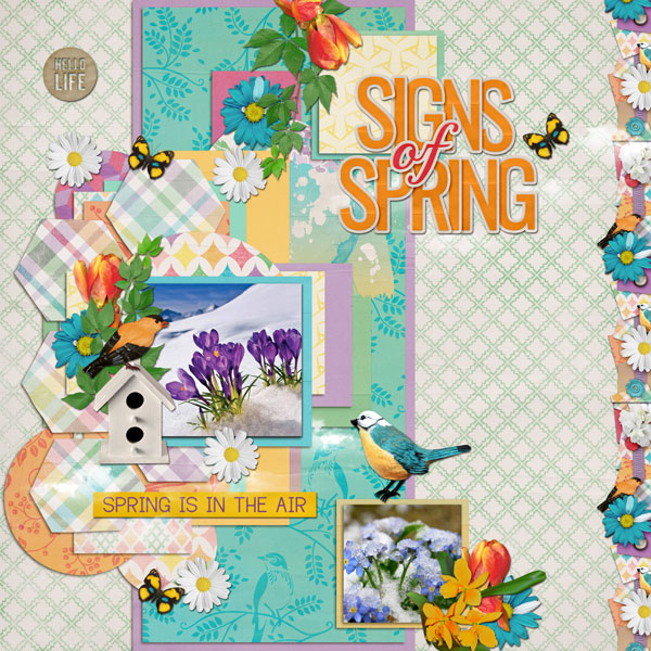 01-Sign-of-spring