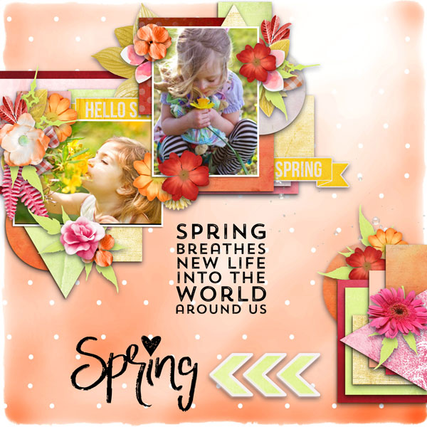 01-Spring4