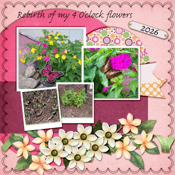 02  Four O'clock Flowers -- In a Word.jpg