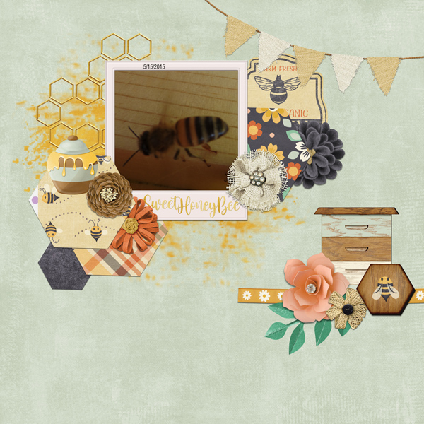 02-Recipe