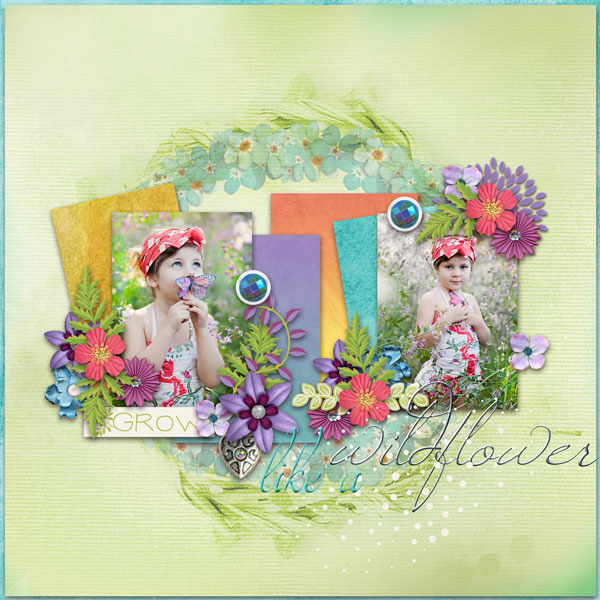 02-Wildflower