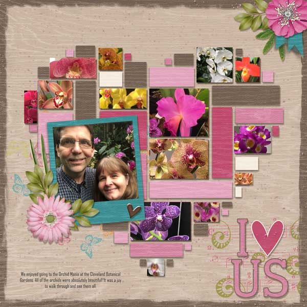 0220 ayob Bot Orchids