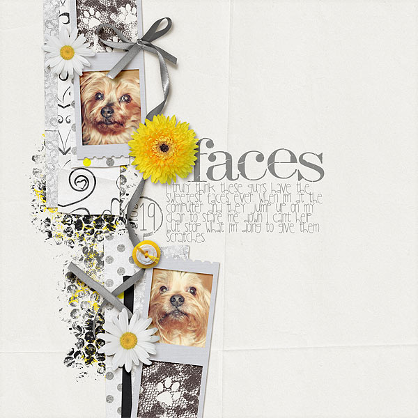 025-02-12-FacesByCFALBRO