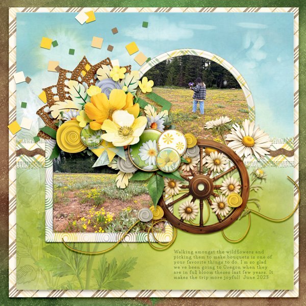 03-21_TBG_Buttercupsanddaisies_FB_Wildflowers.jpg