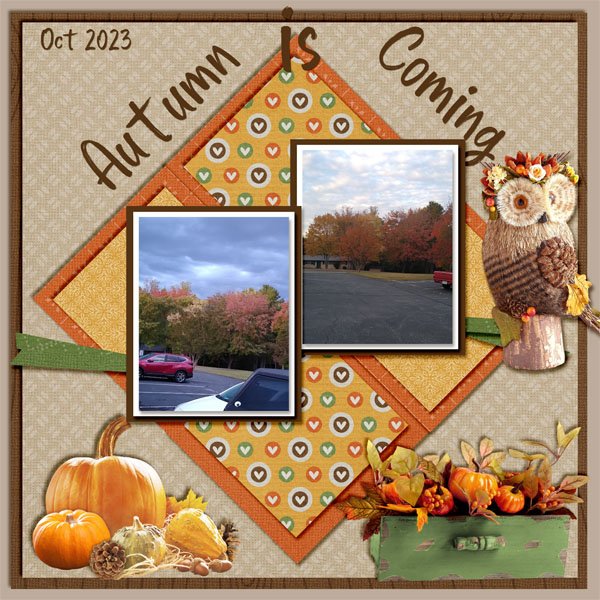 03 Aurumn colors -- Inspiration_edited-1.jpg