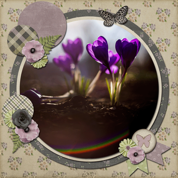 03-March-26-Photography-Challenge.gif