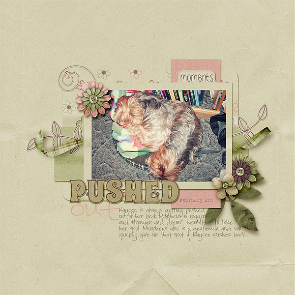 030-02-12-PushedOutByCFALBRO