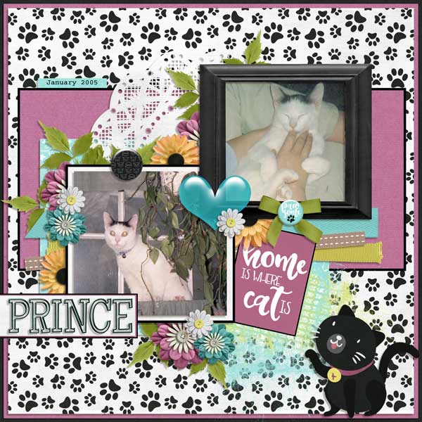 0319 Buf Prince