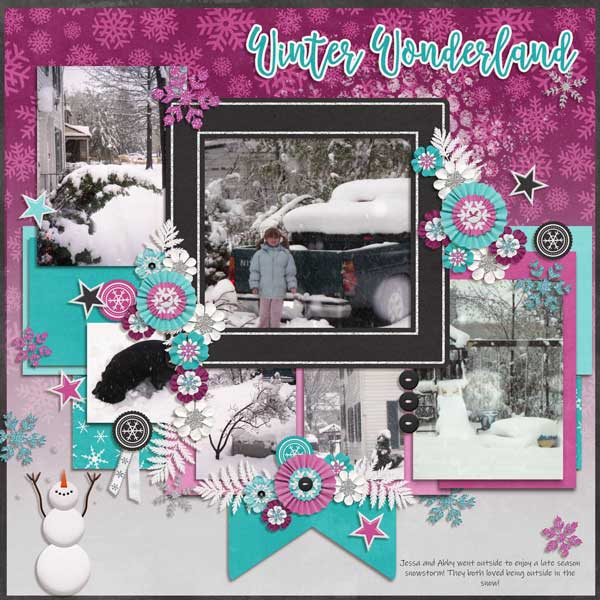 0319 Des Snow