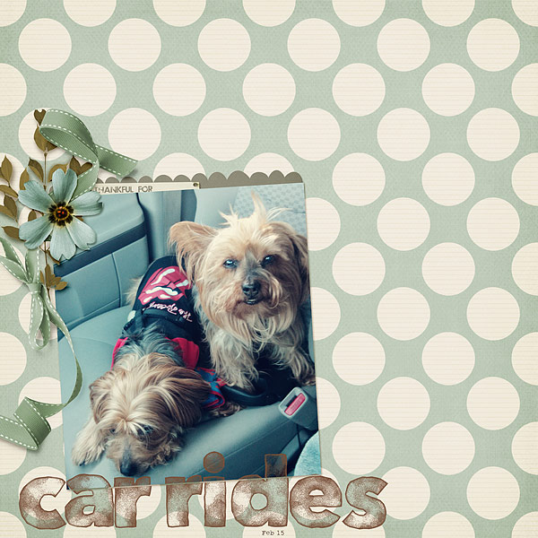 032-03-13-CarByCFALBRO