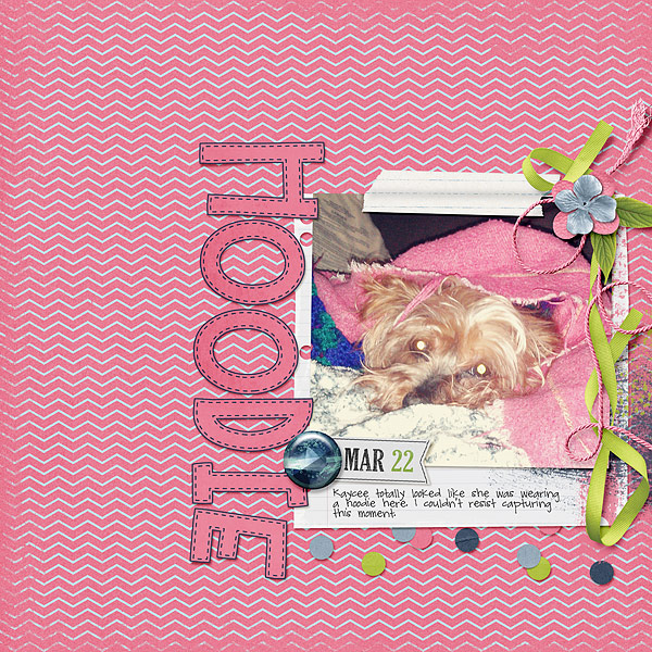 033-03-13-HoodieByCFALBRO