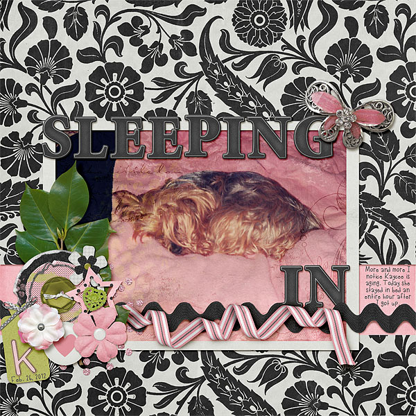 035-02-12-SleepingInByCFALBRO