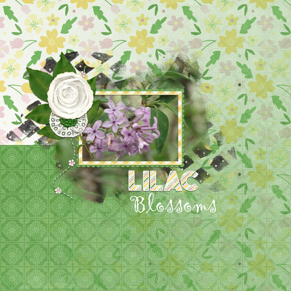 04-daily-Download4