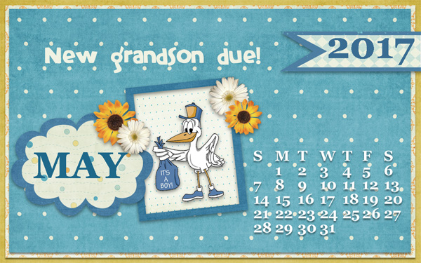 0417 Baby Boy Desktop
