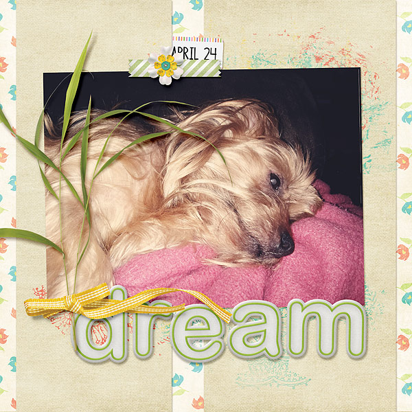 042-04-13-DreamByCFALBRO