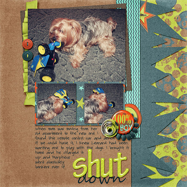 044-03-12-ShutDownByCFALBRO