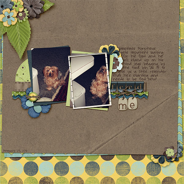 045-03-12-FeedMeByCFALBRO
