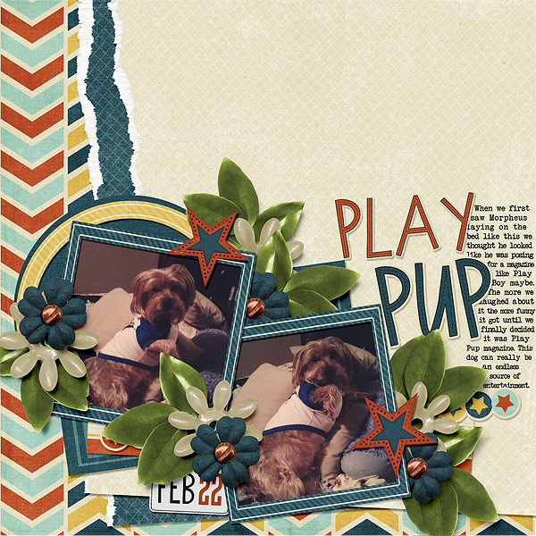 047-05-13-PlayPupByCFALBRO