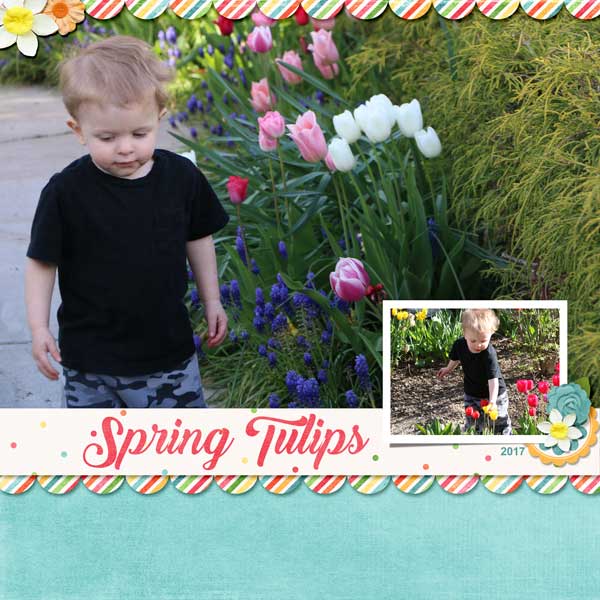 04_Cameron-tulips