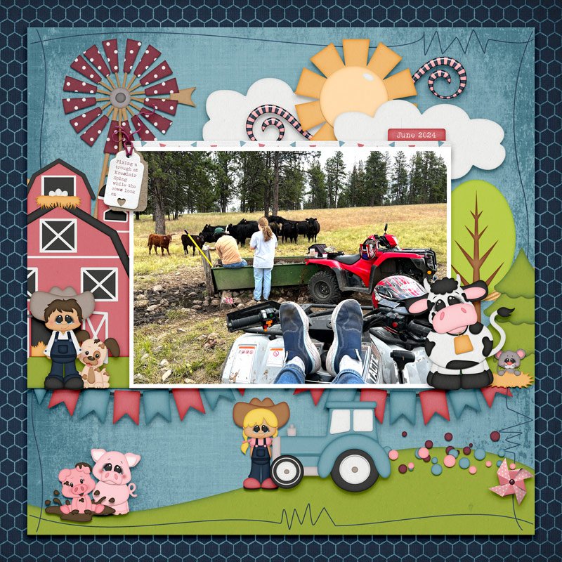 05-14_HeatherZ_FunontheFarm_DD_Mendingtroughs.jpg