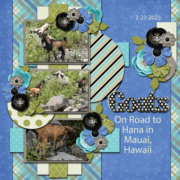05-May-23-Template-_2-Tinci-Challenge