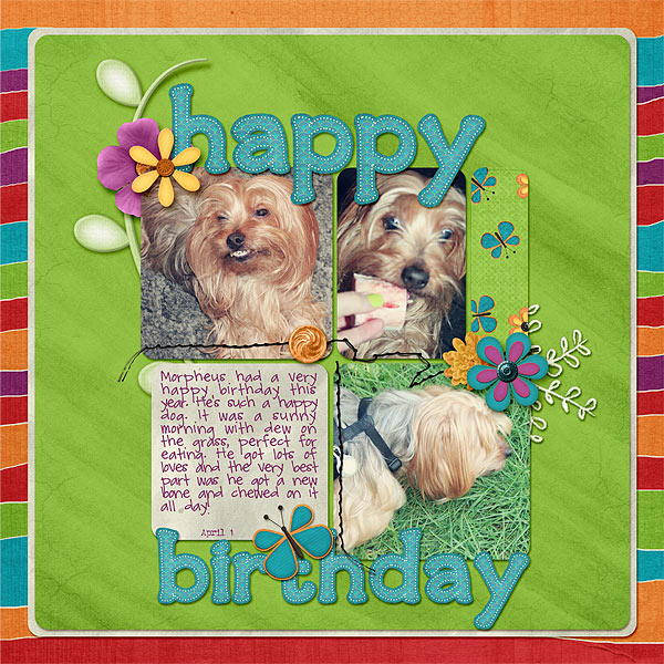 058-04-12-BirthdayBoyByCFALBRO