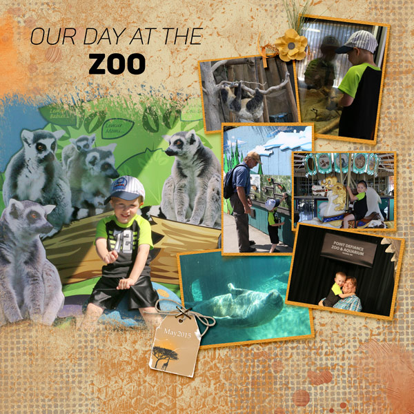 05_Seattle-zoo2
