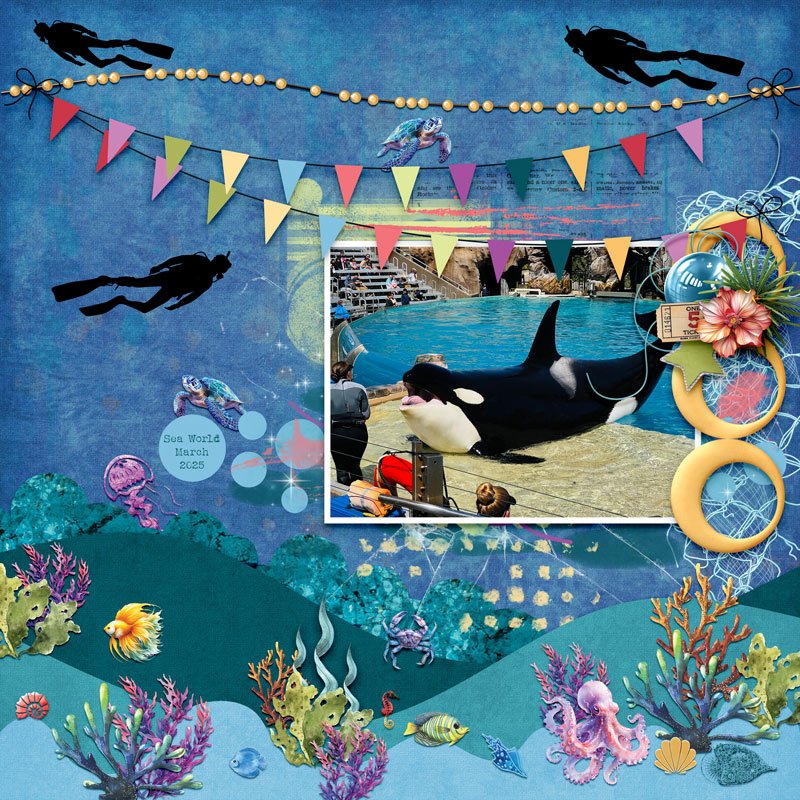 06-01_TBC_LiquidZoo_Buffet_Orca.jpg