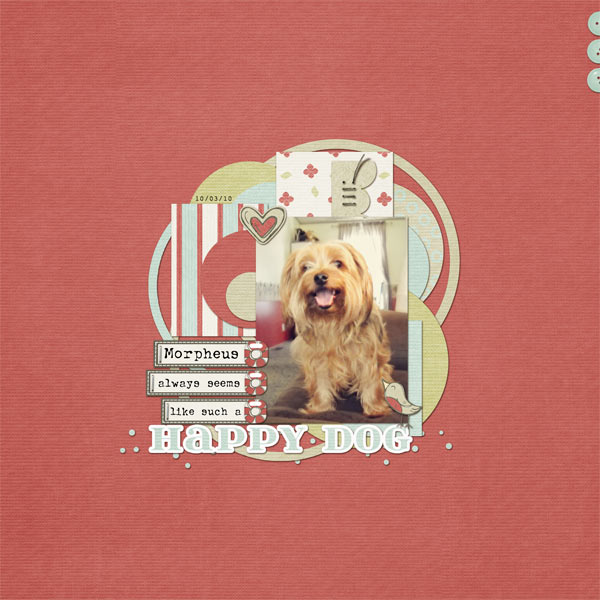 061-04-11-HappyDog