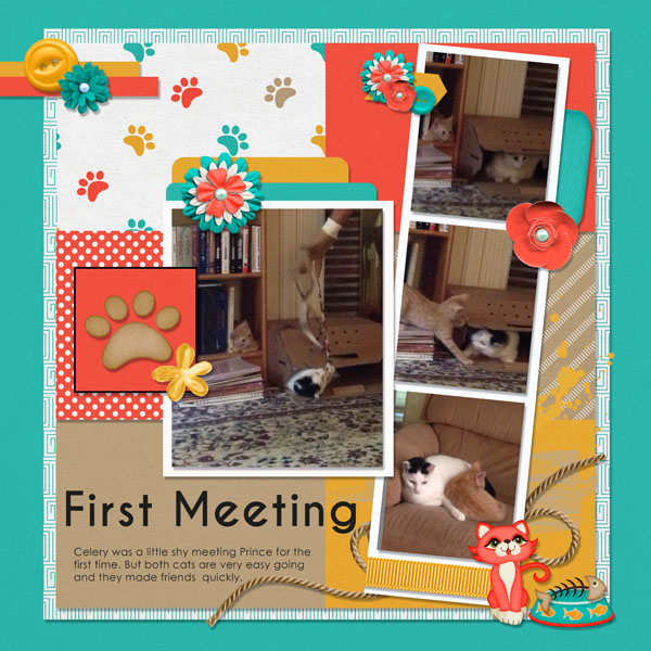 0618 Mini kitties meet