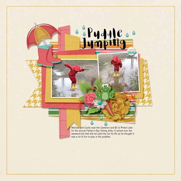 06_Priest-Lake-puddles