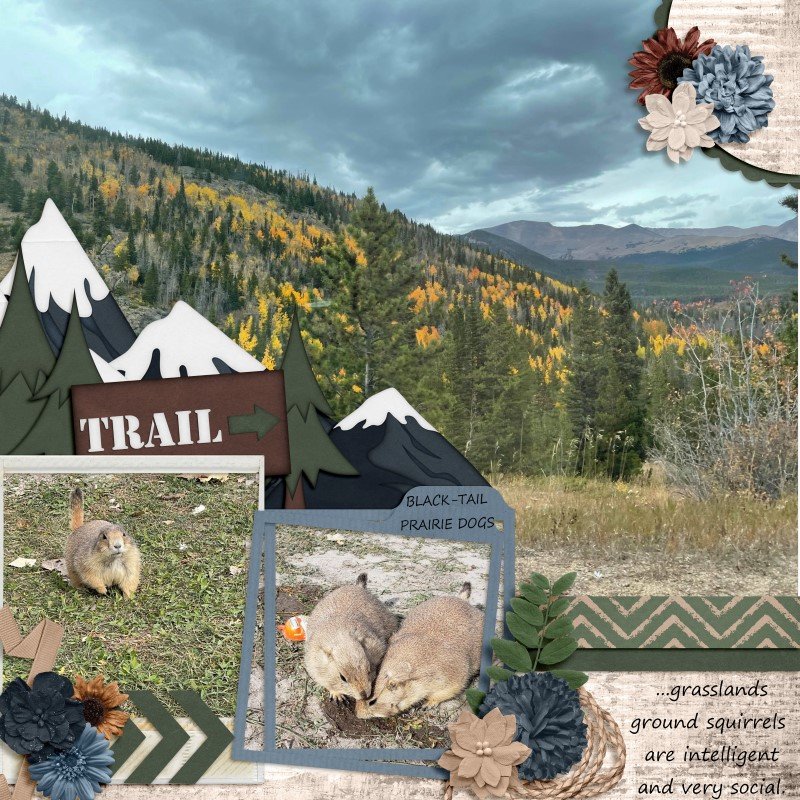 07-2021 Rocky Mountain High