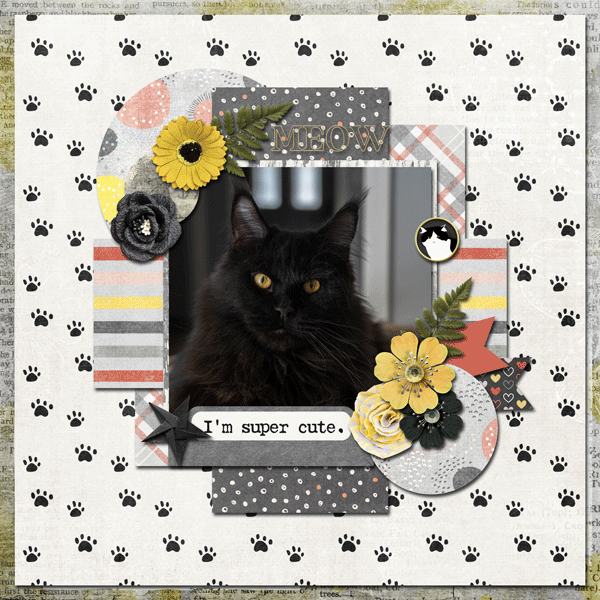 07-July-24-Daily-Download-Challenge