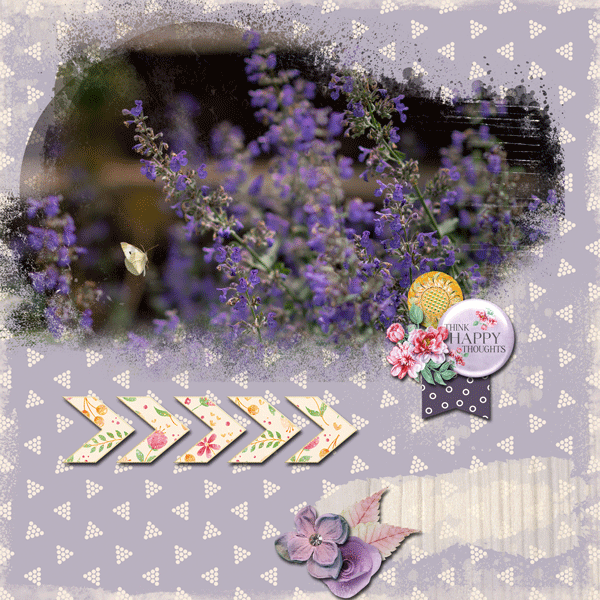 07-July-26-Photography-Challenge.gif
