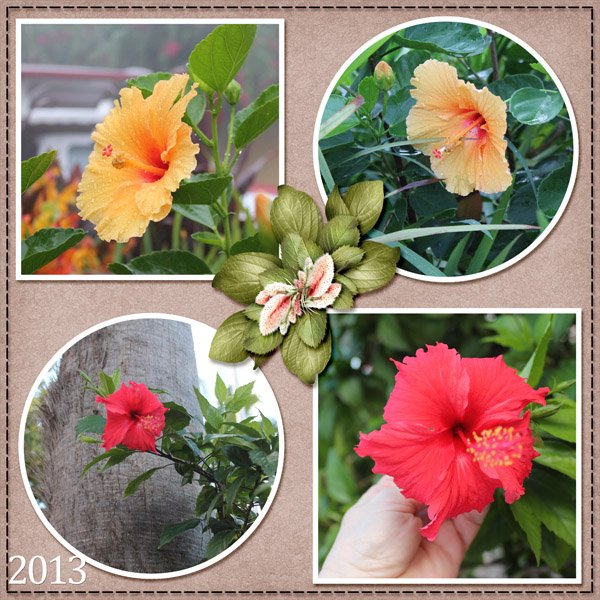 07 -- Photography -- Flowers.jpg