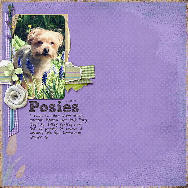 071-04-12-PosiesByCFALBRO